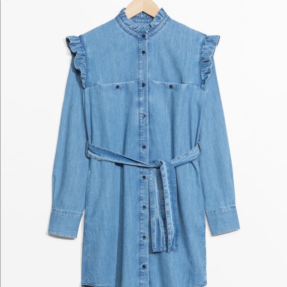 & Other Stories Climbing Flower Denim Dress Size 10 NWT